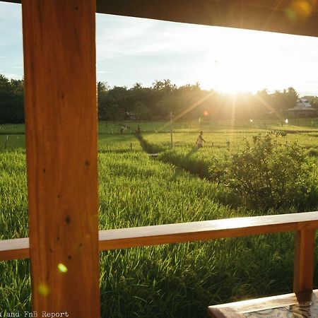 Guerrera Rice Paddy Villas Mambajao Buitenkant foto