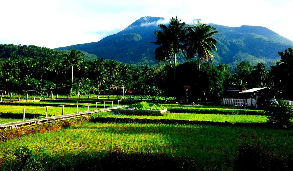 Guerrera Rice Paddy Villas Mambajao Buitenkant foto